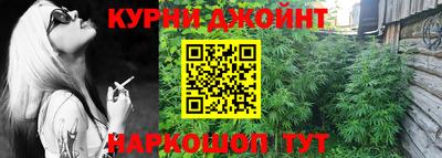 Альфа ПВП Новозыбков