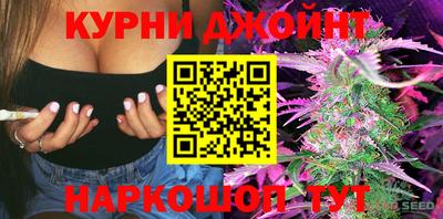 Альфа ПВП Новозыбков