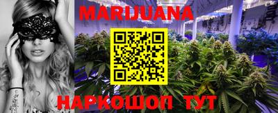 Альфа ПВП Новозыбков