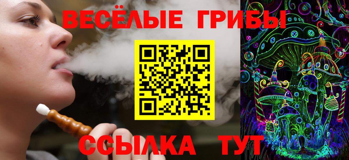 Галлюциногенные грибы Psilocybe Славянск-на-Кубани