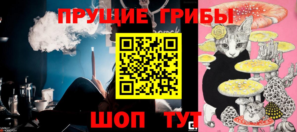 Псилоцибиновые грибы Magic Shrooms  Вход с VPN  Славянск-на-Кубани 